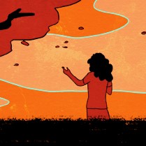 a brief history page 13